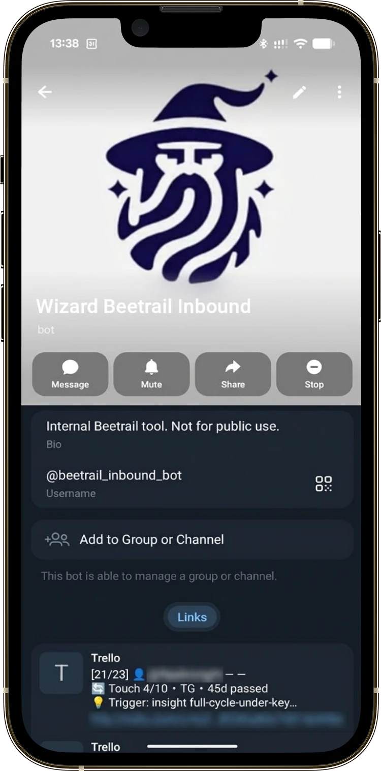 The Wizard AI Telegram bot profile screen