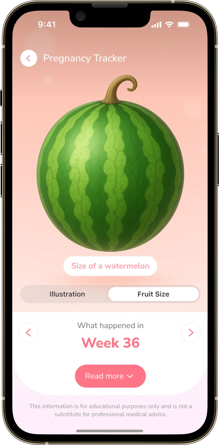 The same calendar in the association mode comparing the size to a fruit