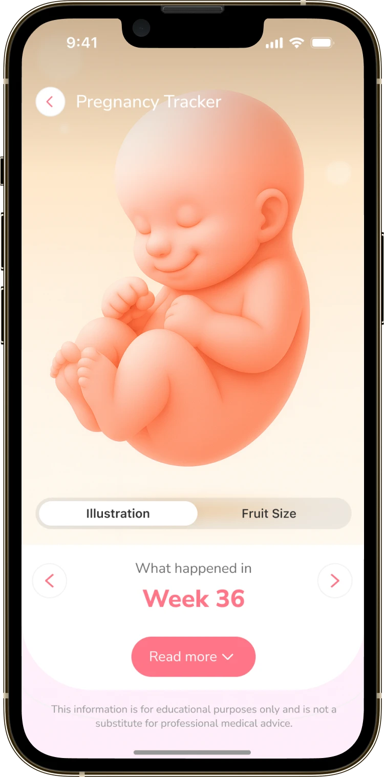 The pregnancy calendar in the illustration mode with a drawing of the baby