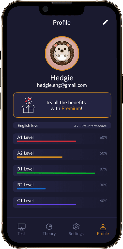 Hedgie: Learn English Grammar app screen