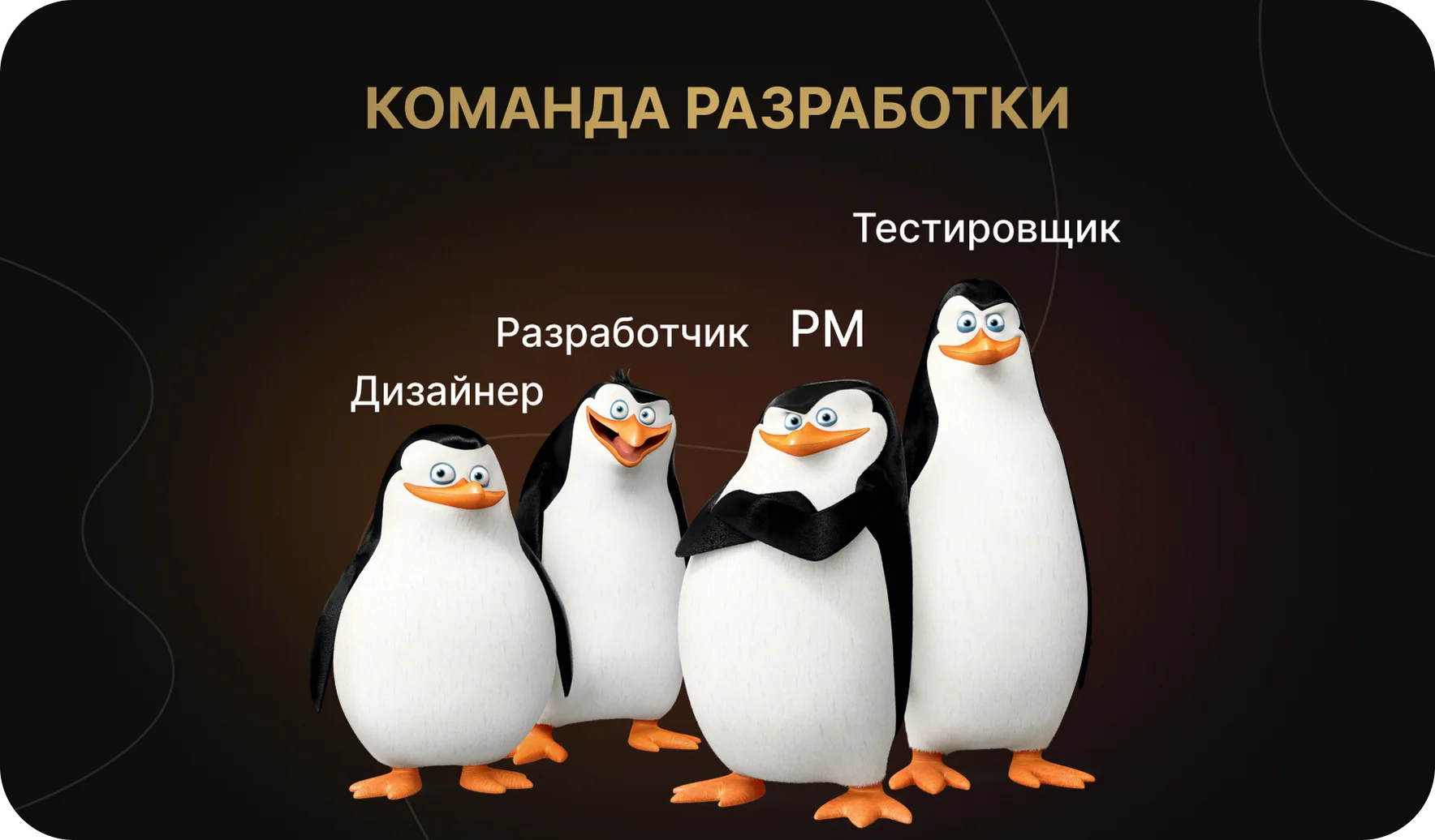 Команда разработки
