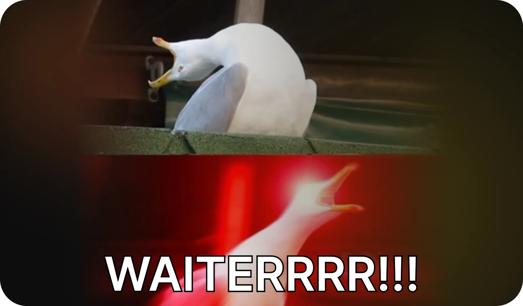 Call a Waiter Feature