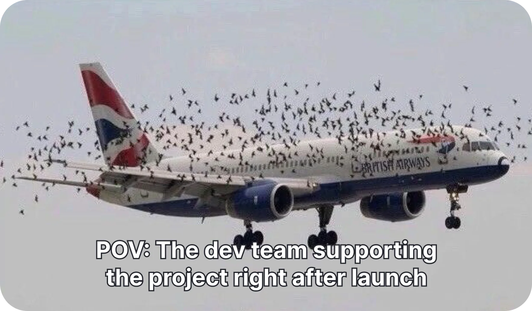 Airline mobile app support
